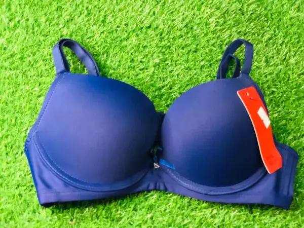 Blue Bra