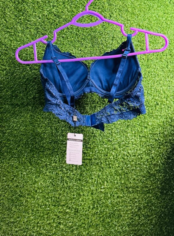 Blue Bra - Image 5